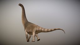 Brachiosaurus Altithorax