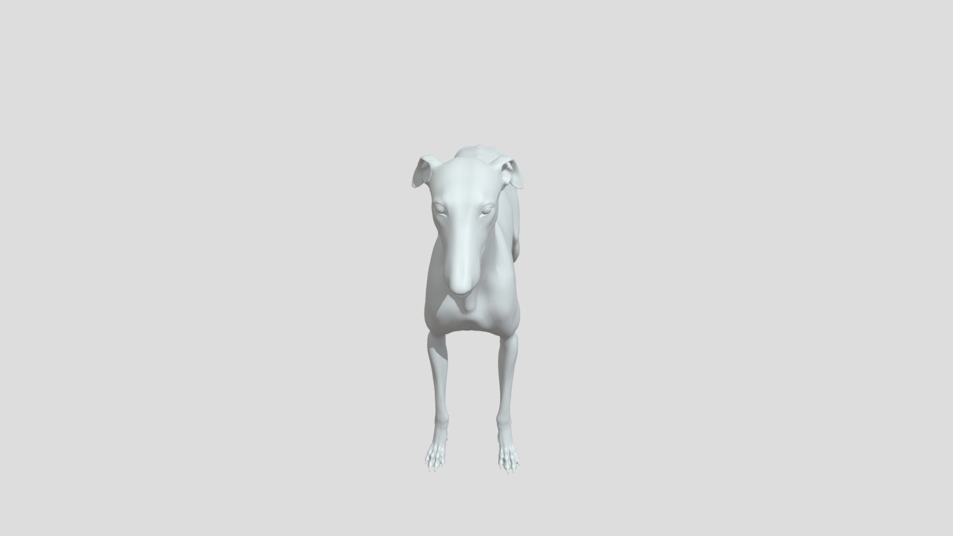 Greyhound_GEO 3d model