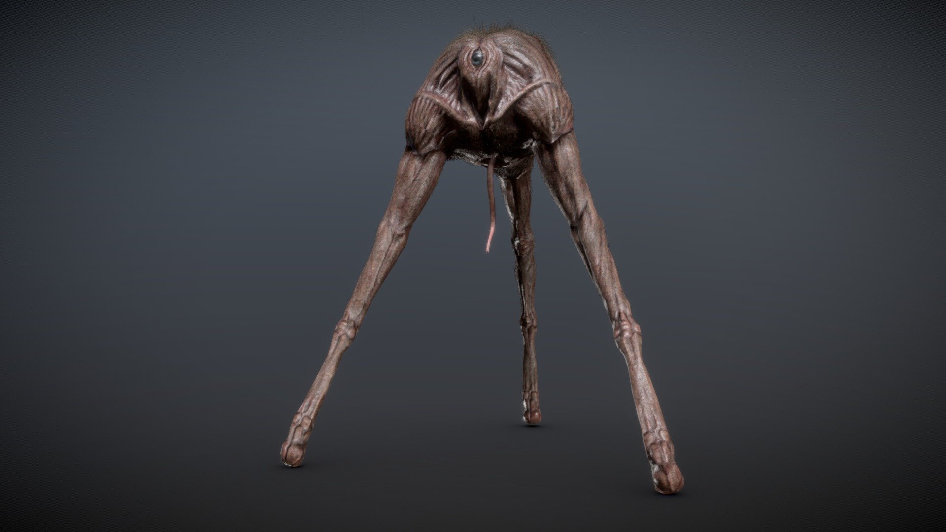 Tripod 3d model