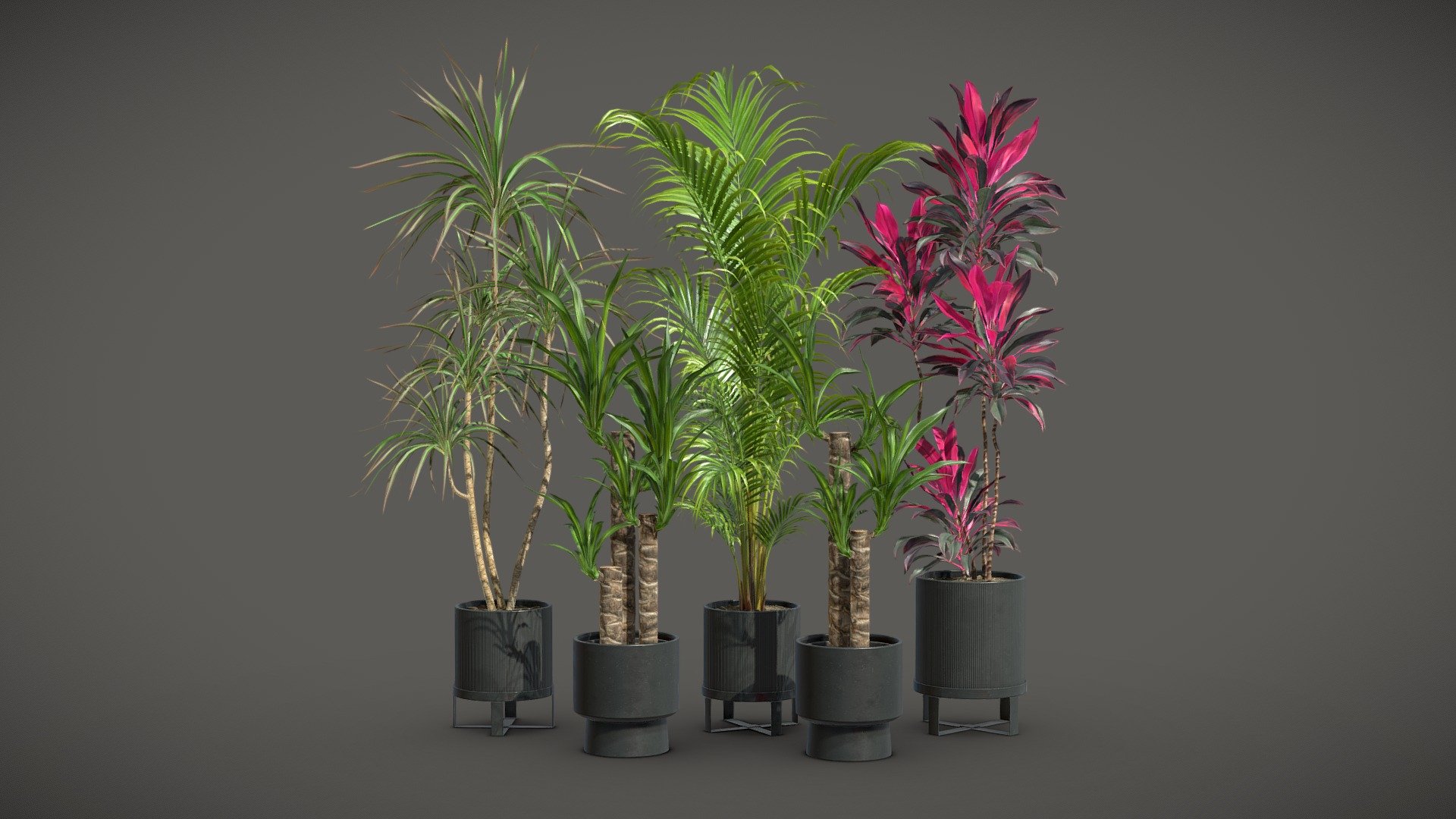 Indoor Plants Pack 51 3d model