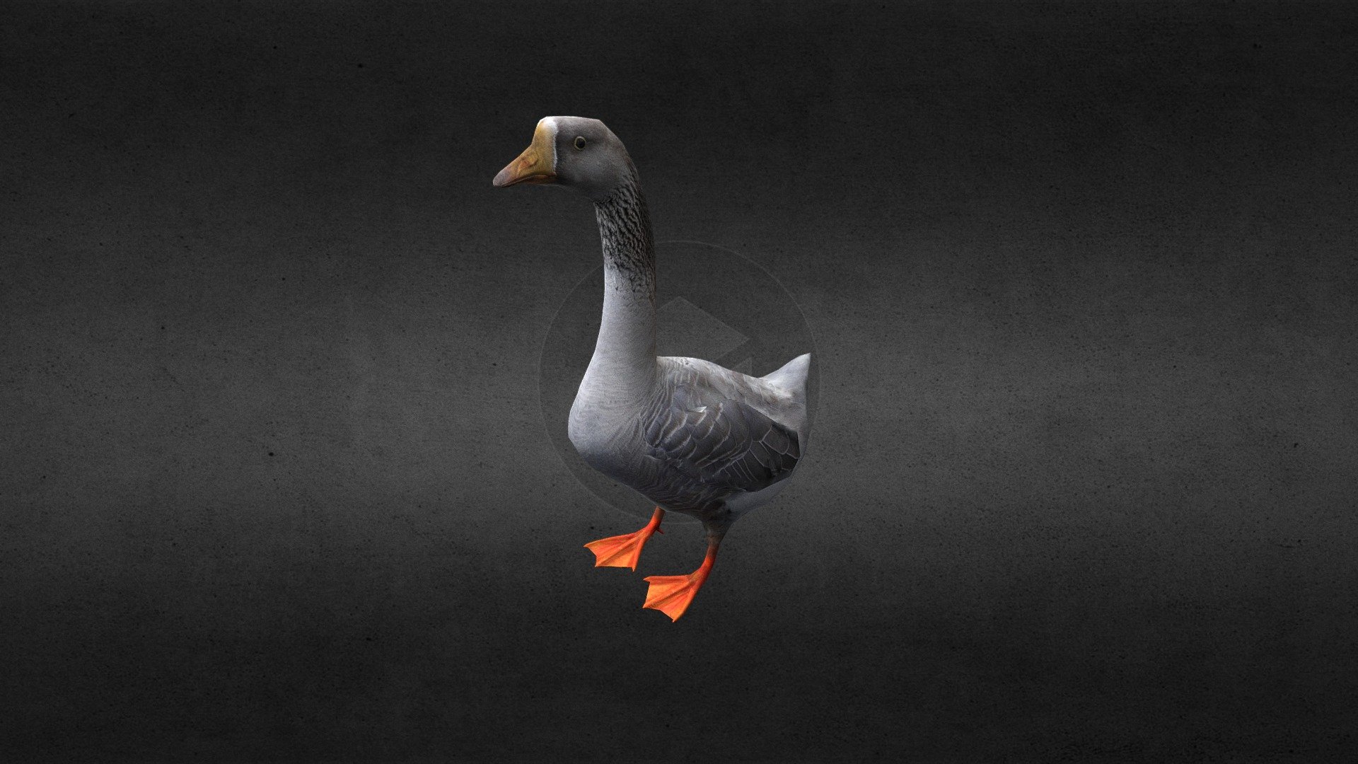 Goose 3d model