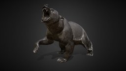 Bear  | 3D Sculpting