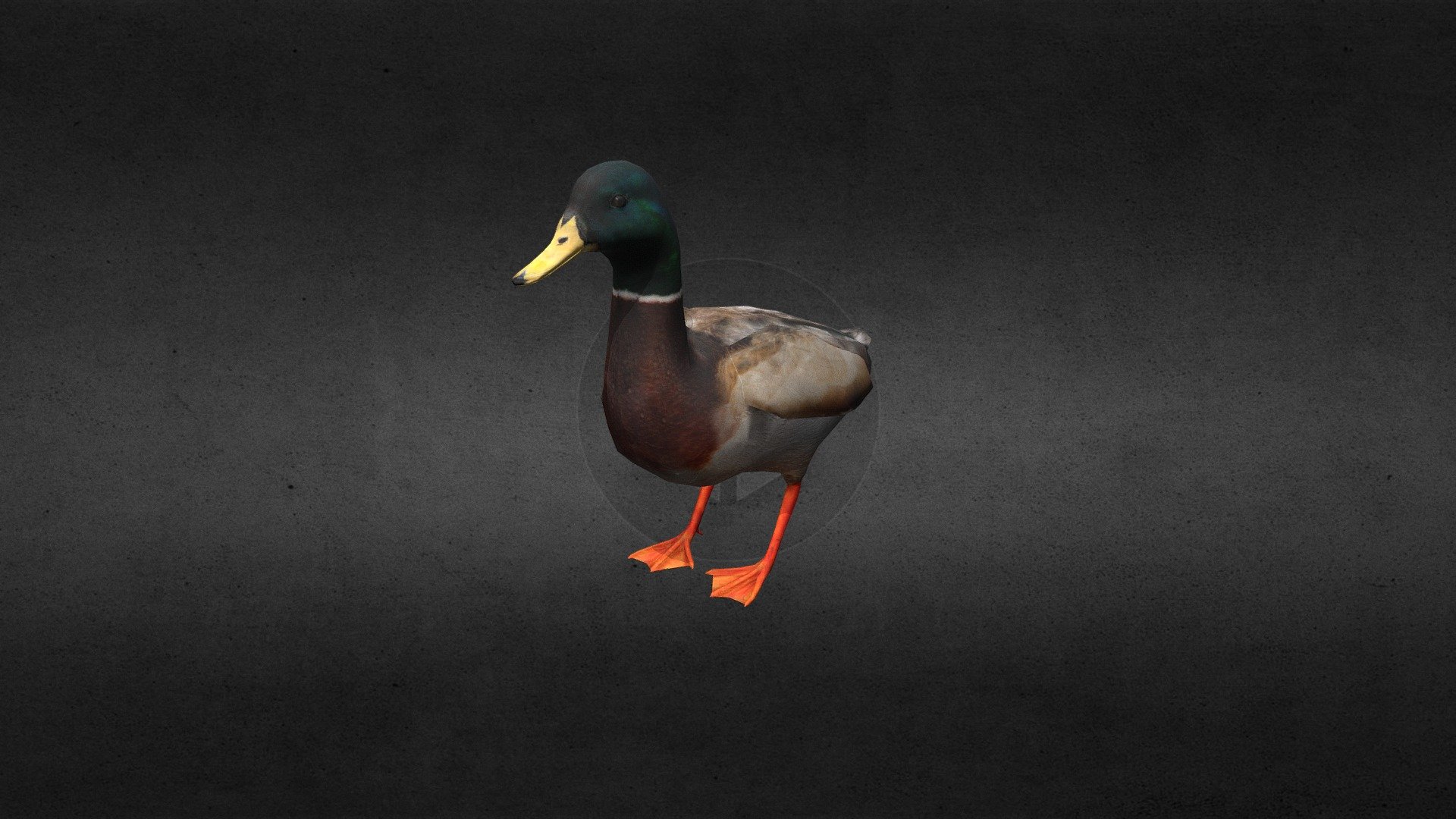 Duck 3d model