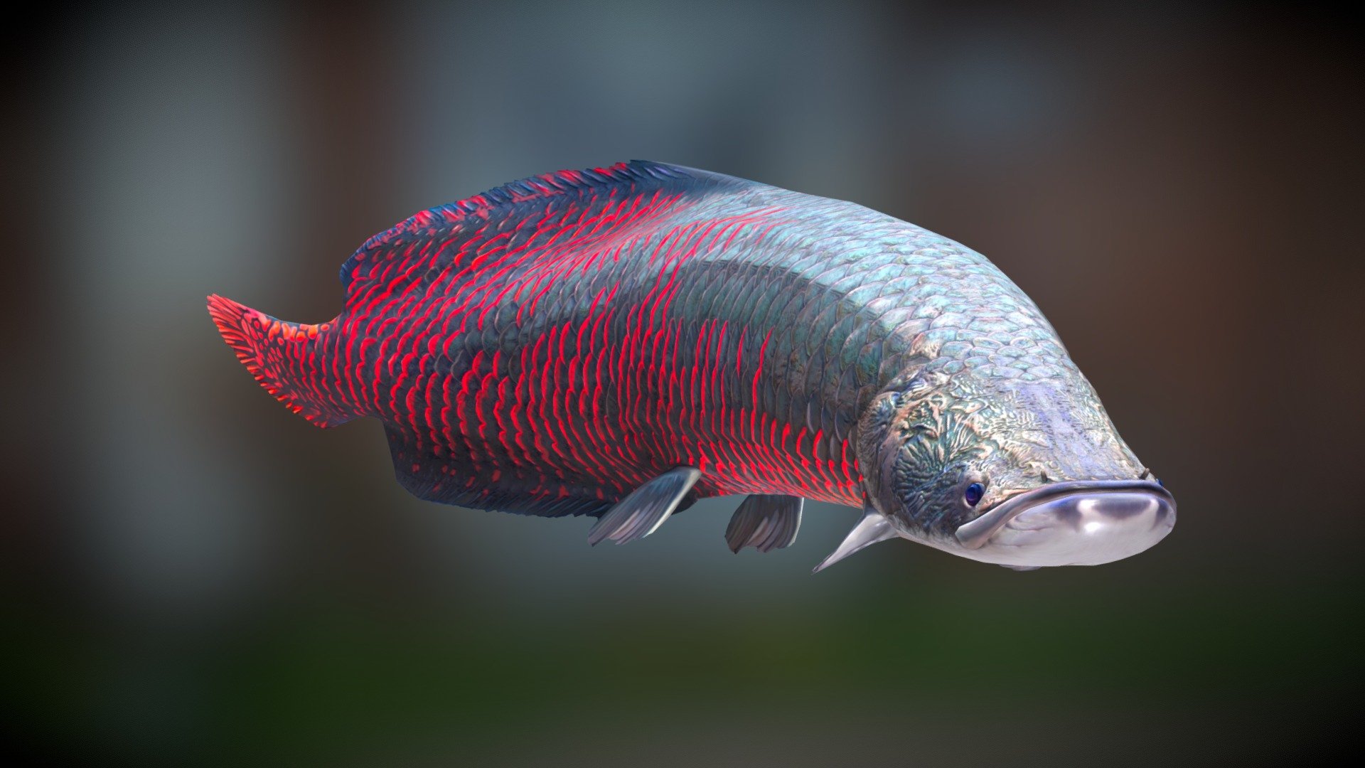 Fish Arapaima Gigas Low Poly model 3d model