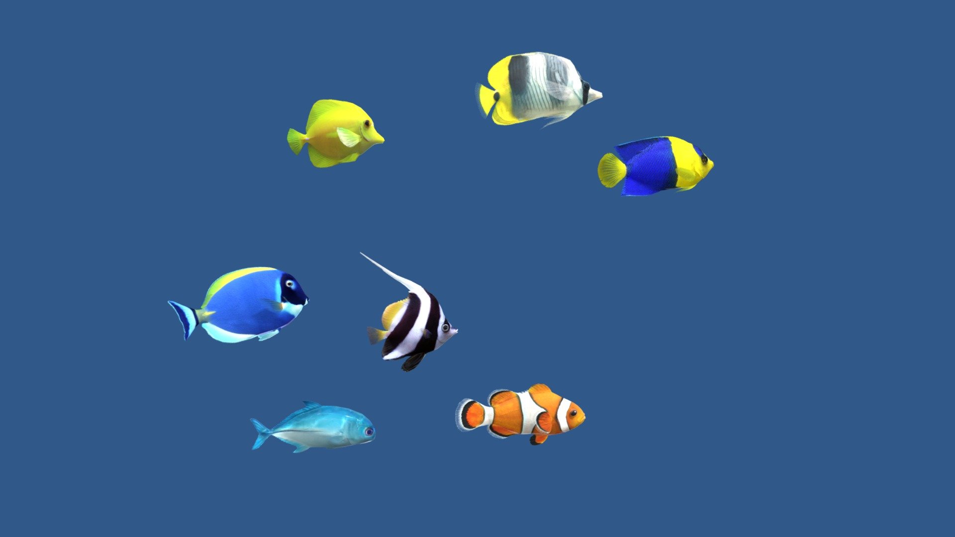 Coral Fish 7 (Pack 1) 3d model