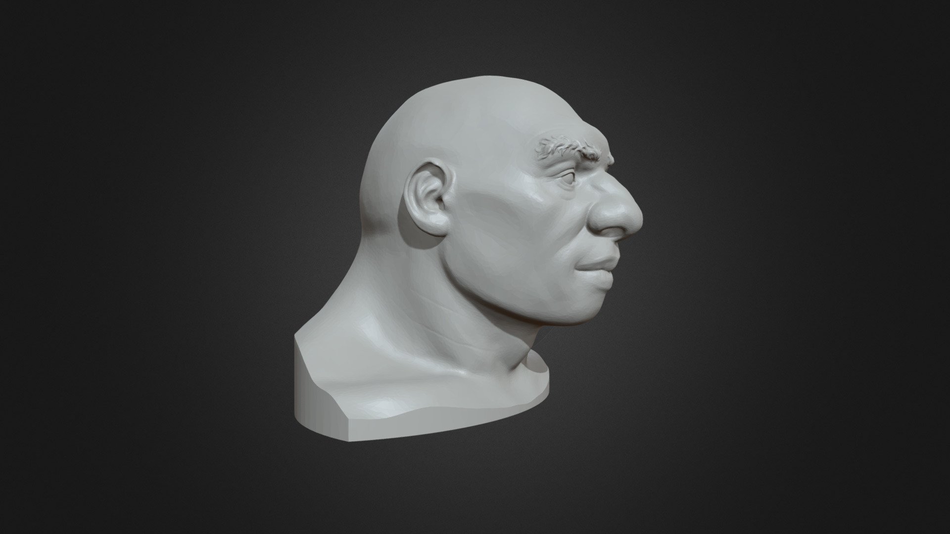 Neanderthal Head 3d model