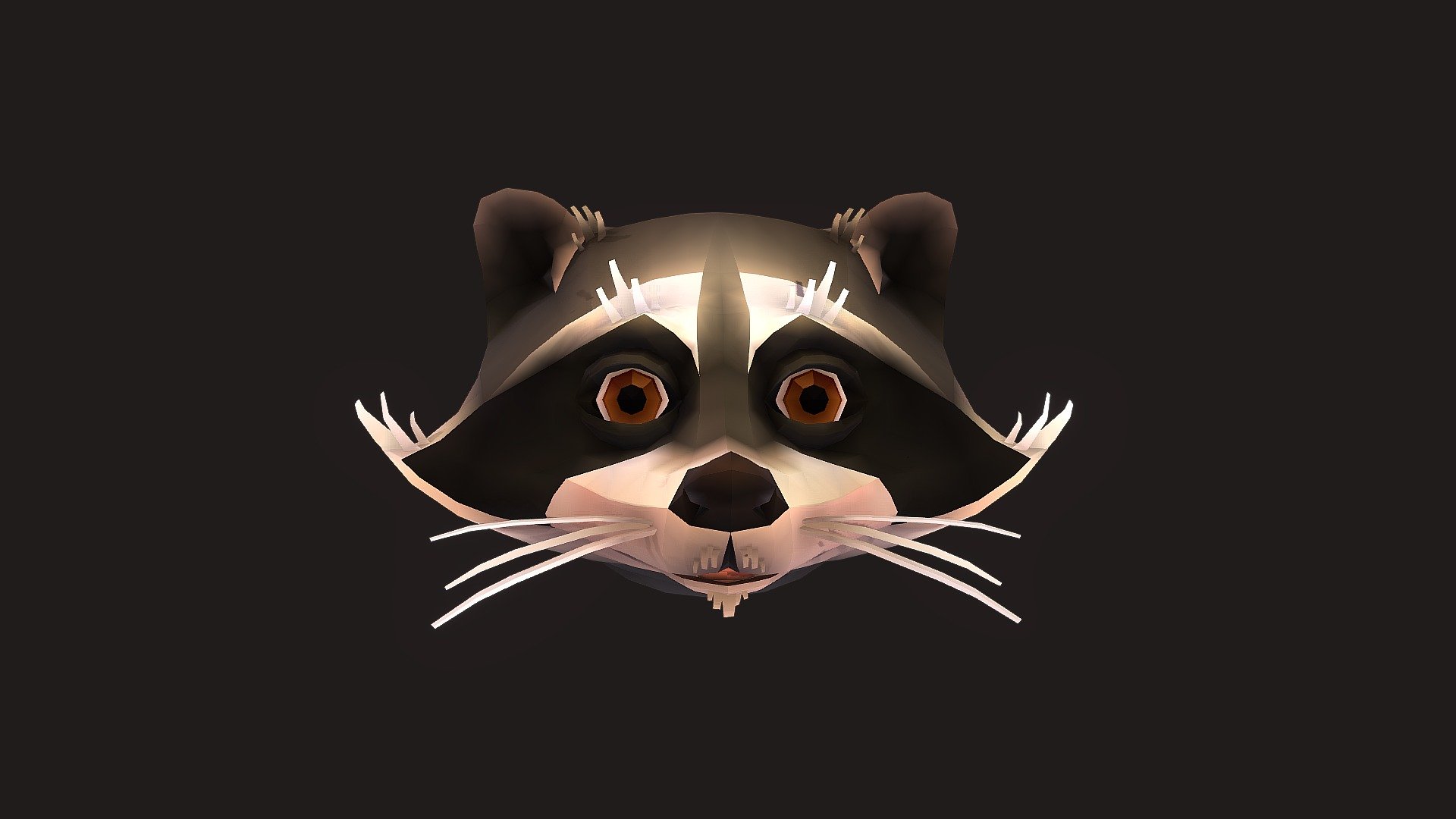 Raccoon Facial Rig 3d model