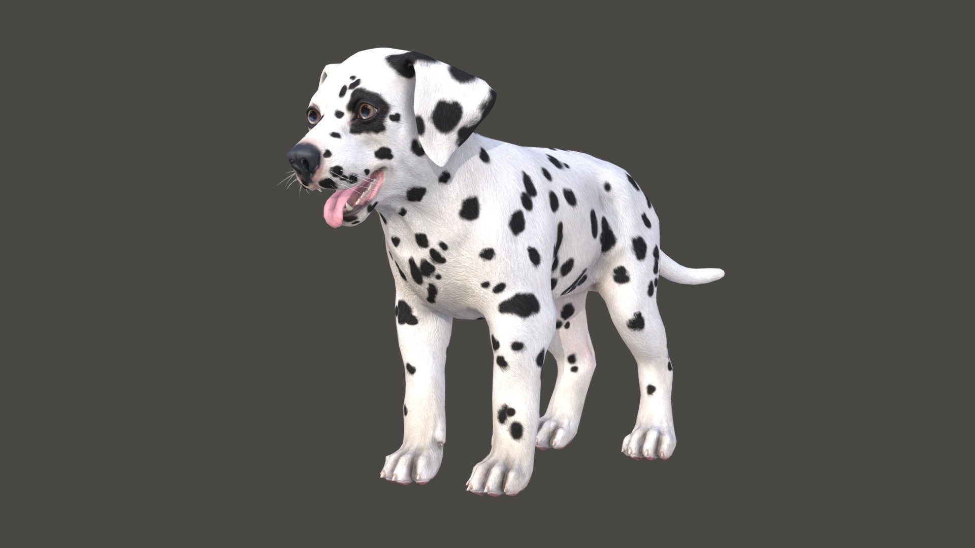 Puppy 3d model