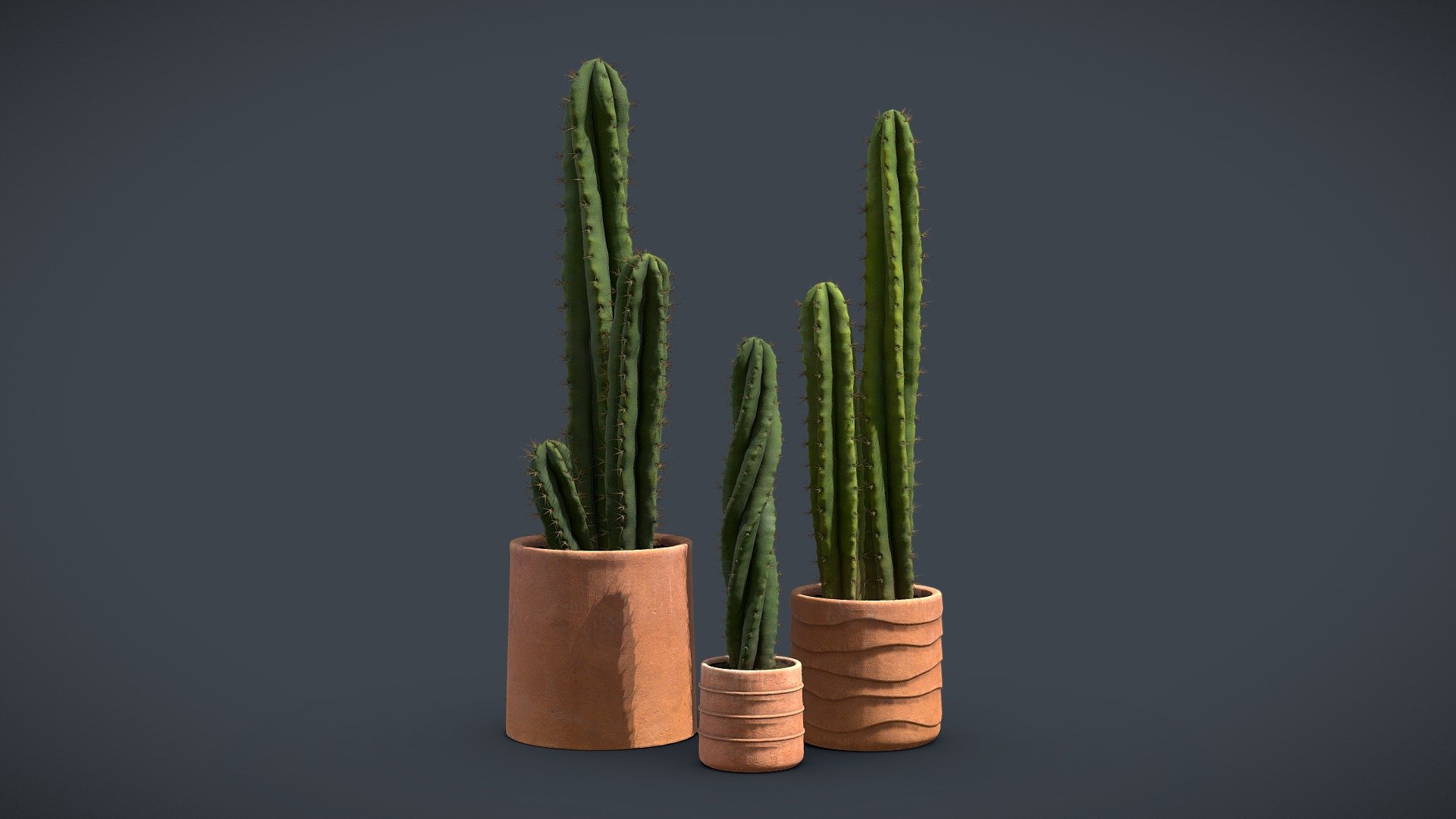 Cactus Pack 3d model