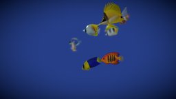 Schooling Coral Reef Fish