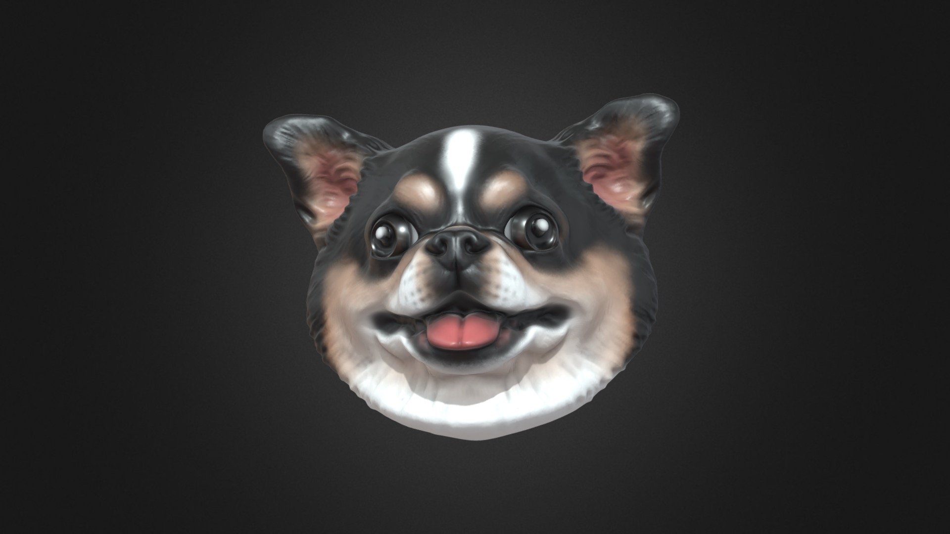 Chihuahua named Jai Jai 3d model