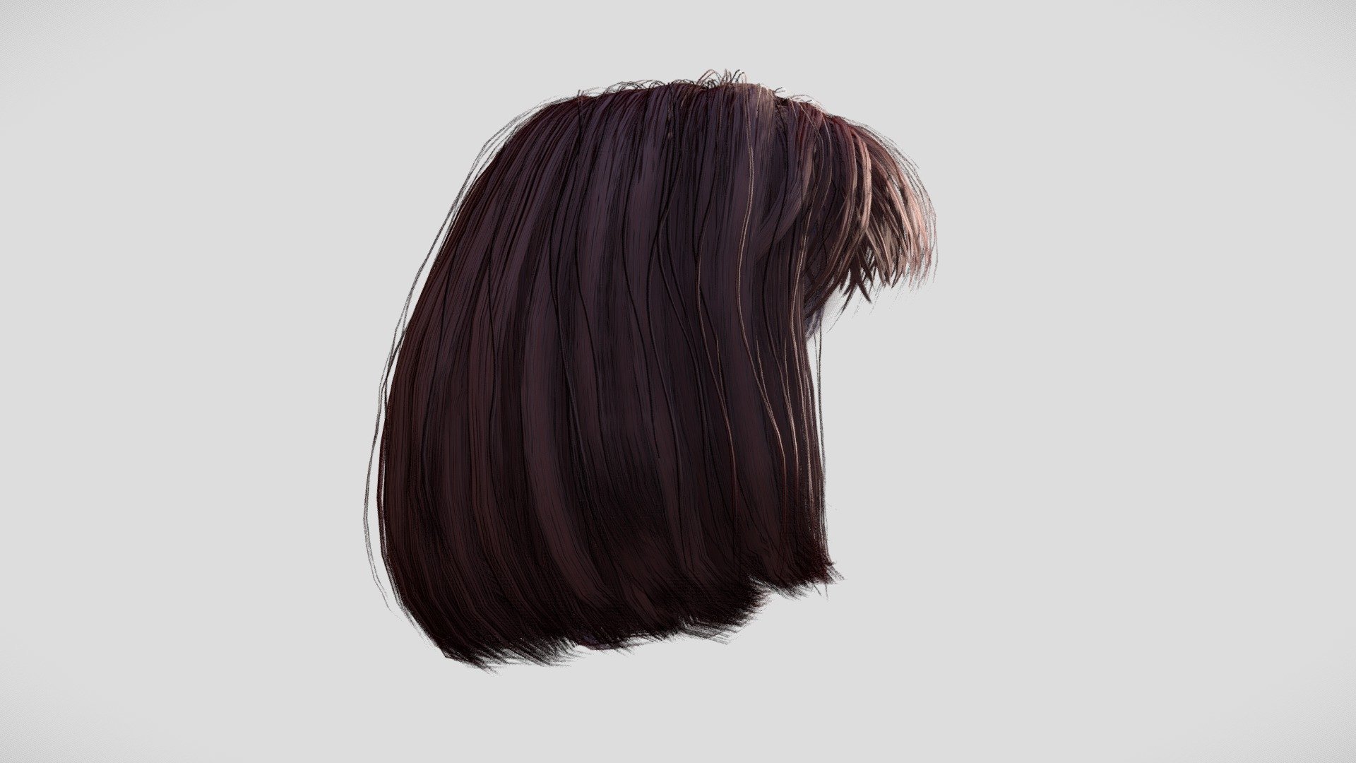 Hair Female 3d model