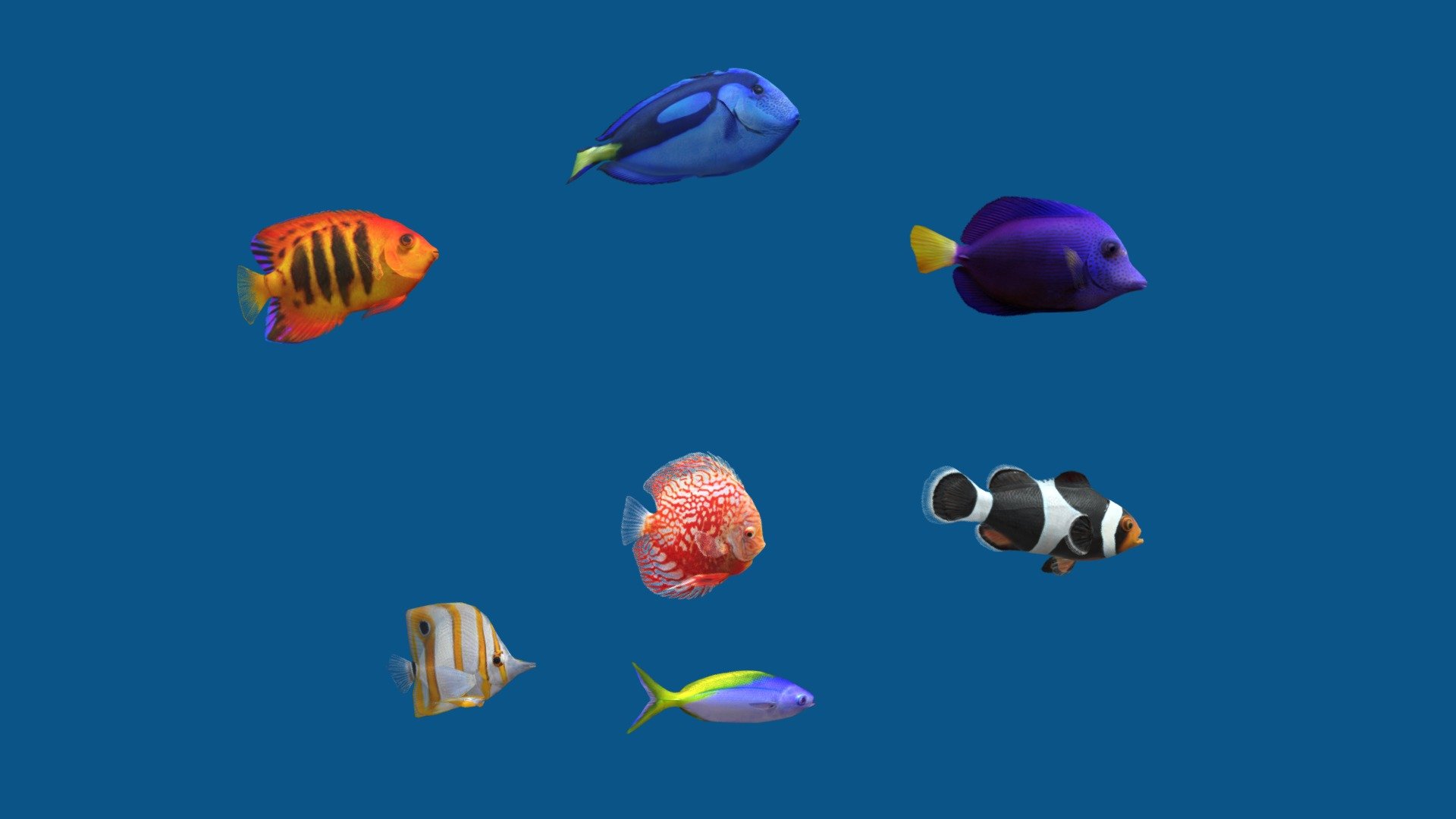 Aquarium Fish 7 (Pack 3) 3d model