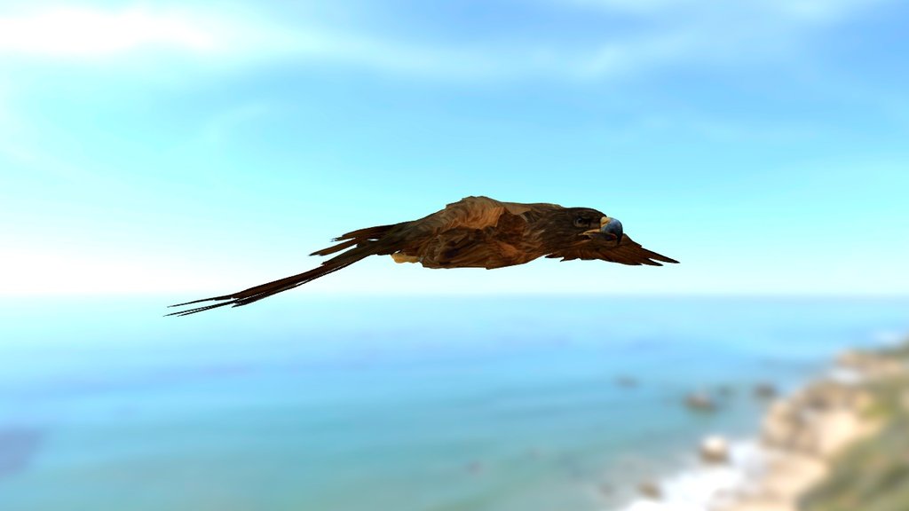 Flying Eagle. 3d model