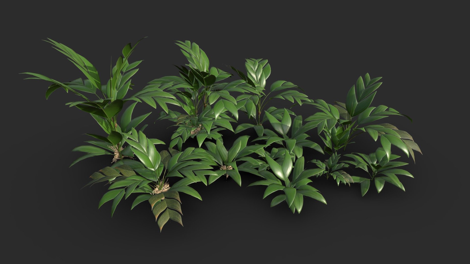 Modular Tasi Palm Trees 3d model