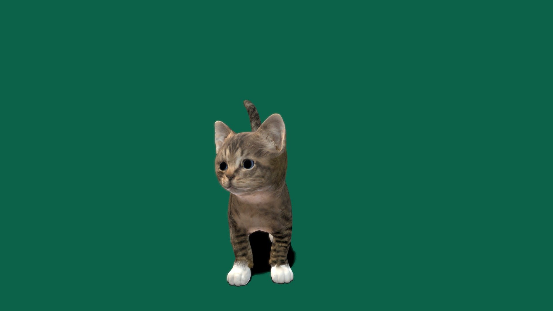 Kitten_V2 3d model