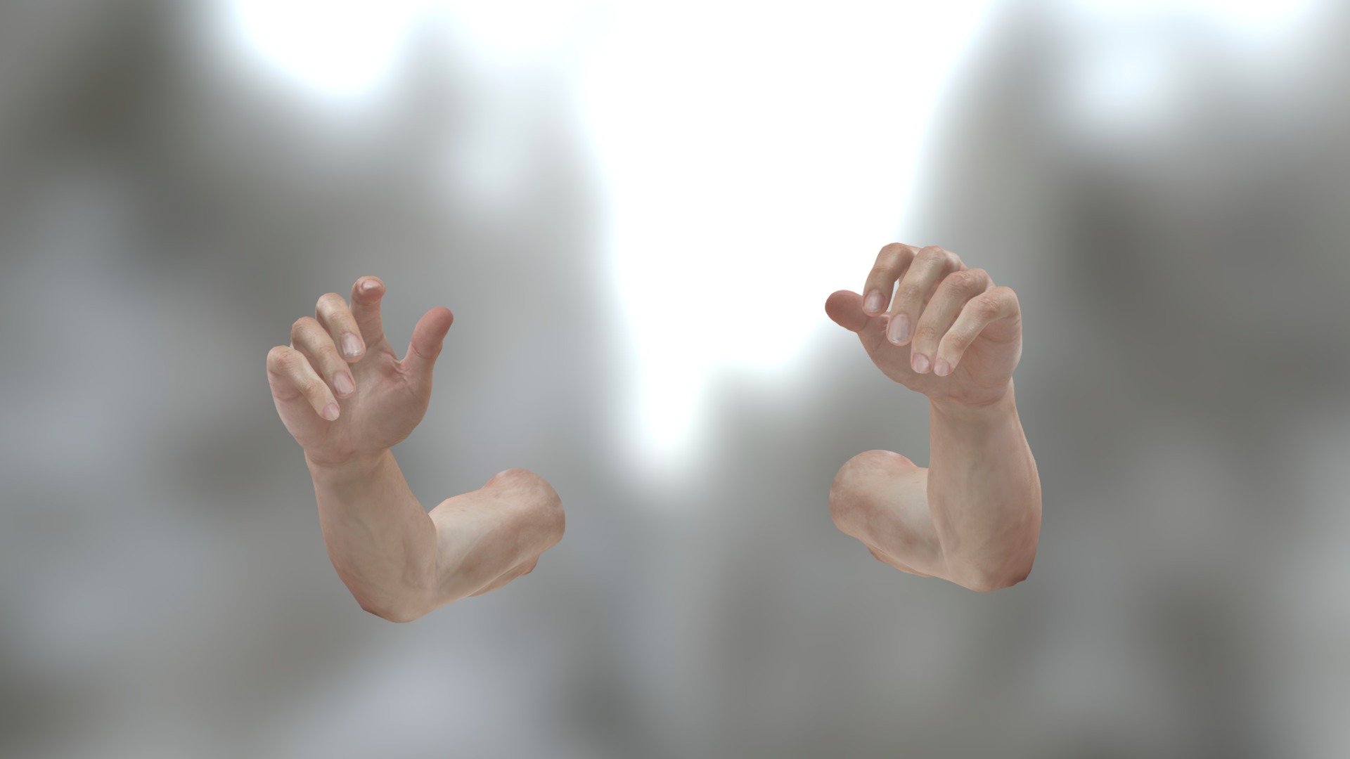 [Animation] First Person Arms, Male 3d model