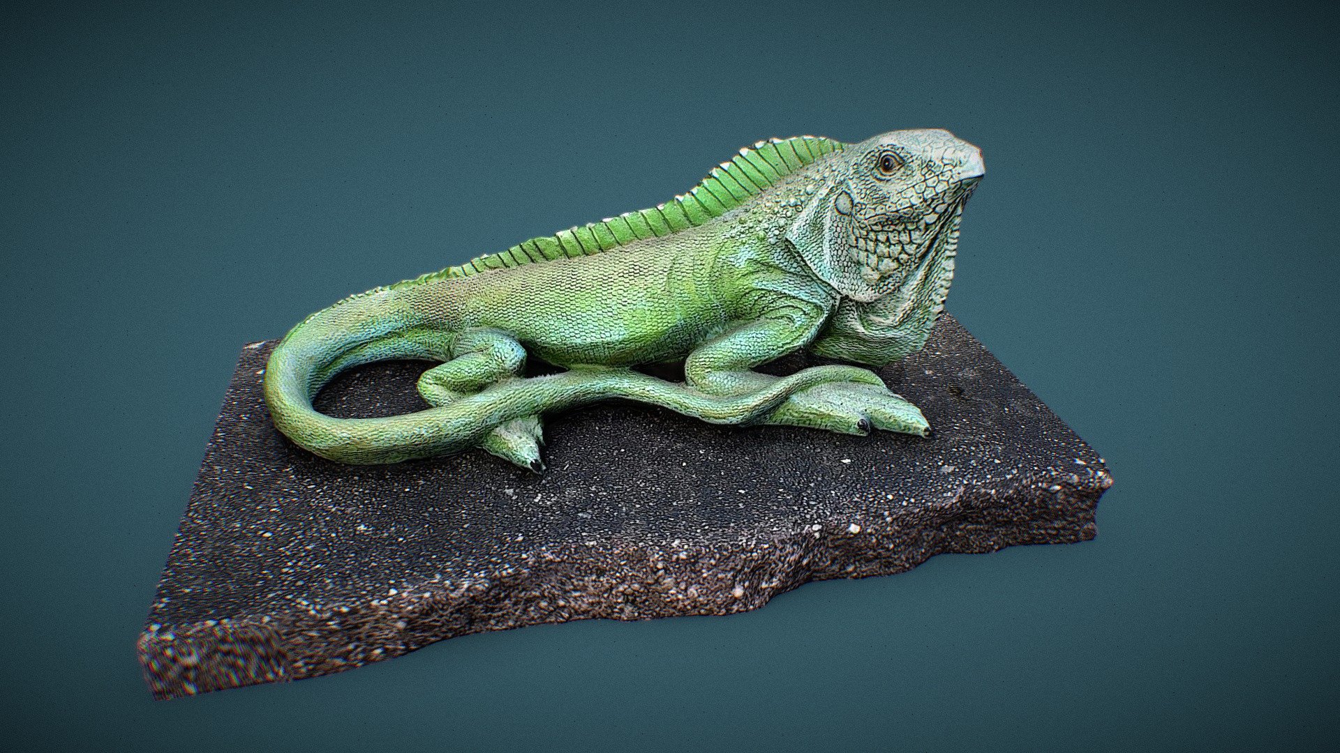 Lizard 3d model