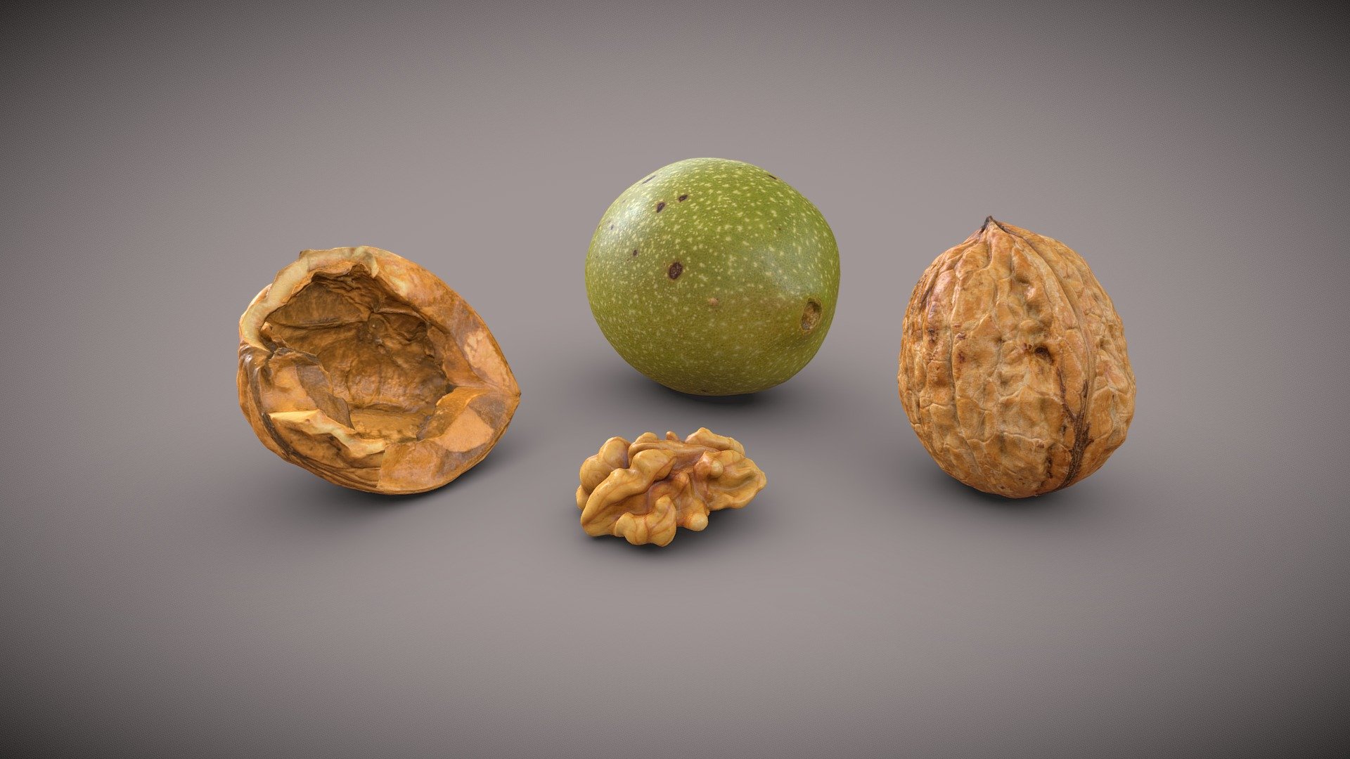 Walnut Pack 3d model