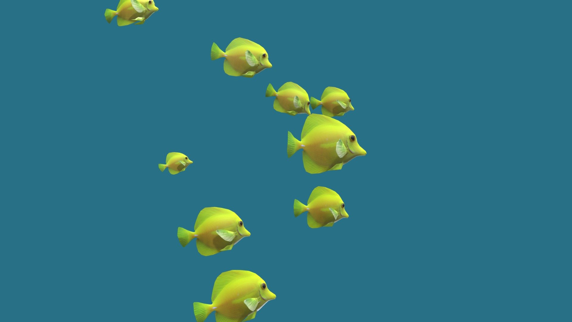 Yellow Tangs 3d model