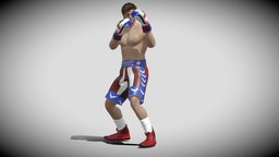 3D Rigged Logan Paul Boxing