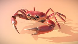 Crab