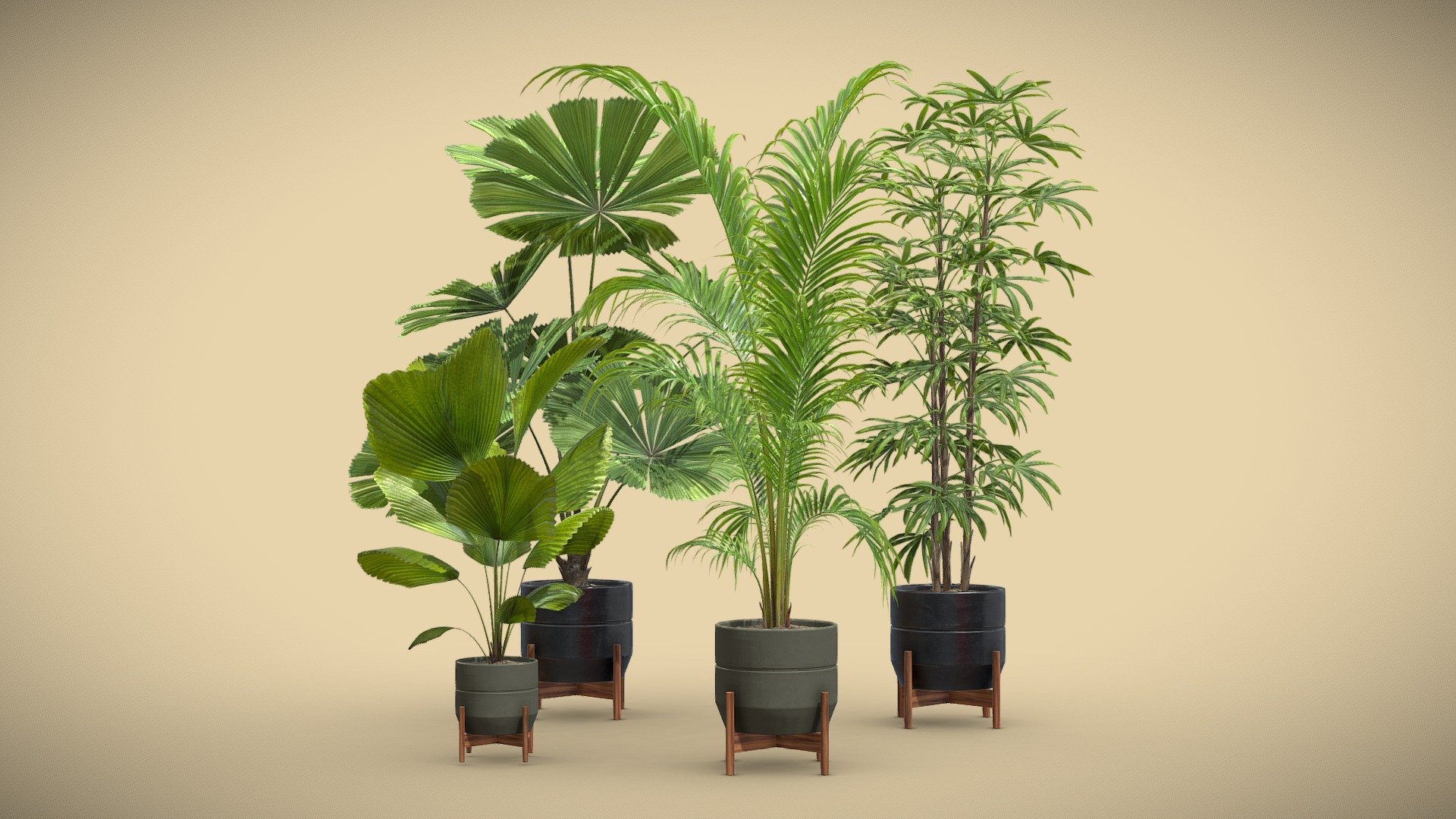 Indoor Plants Pack 49 3d model