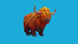 Highland cow