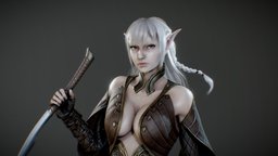 Elf Assassin