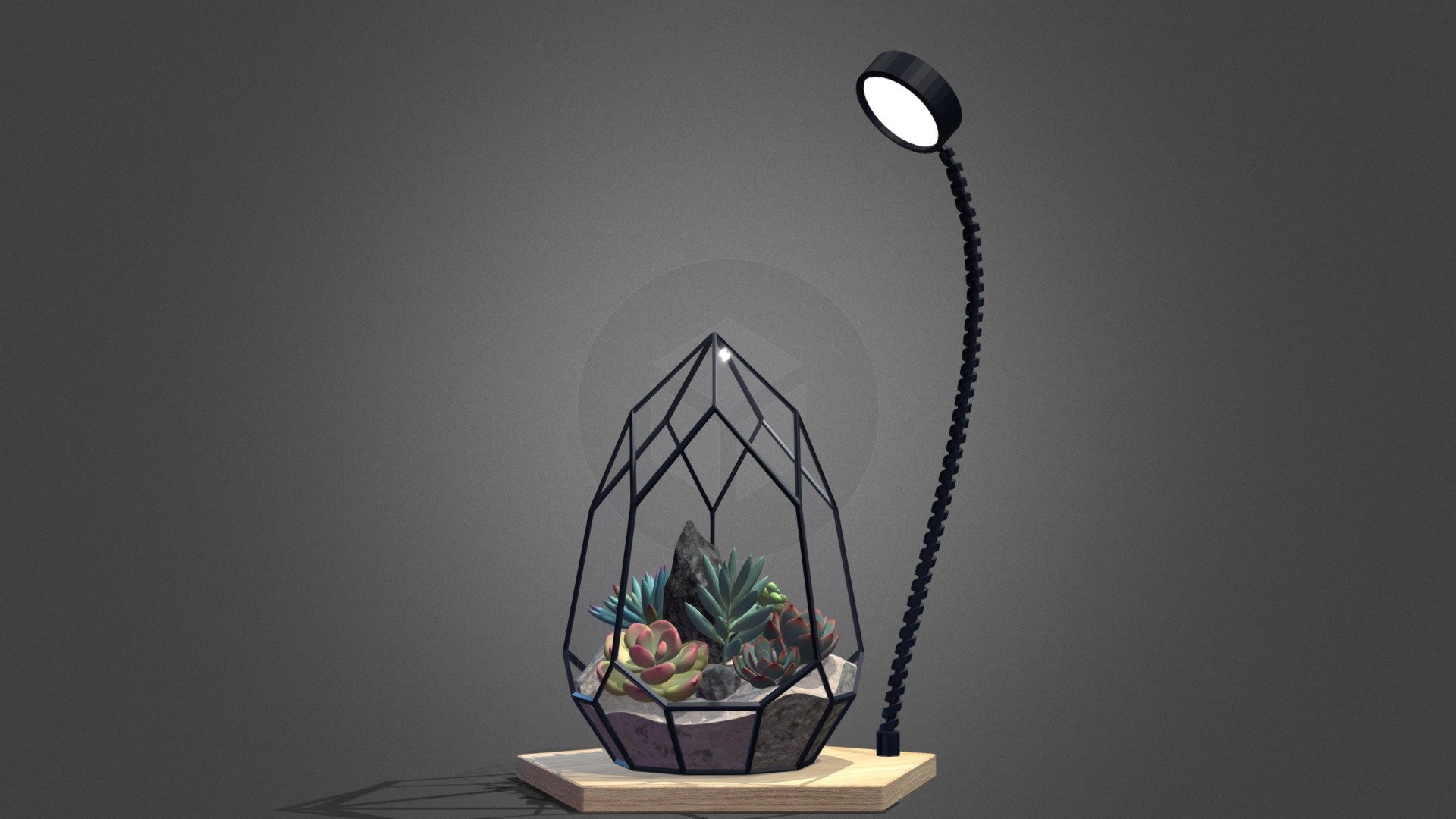 Florarium with succulents 3d model