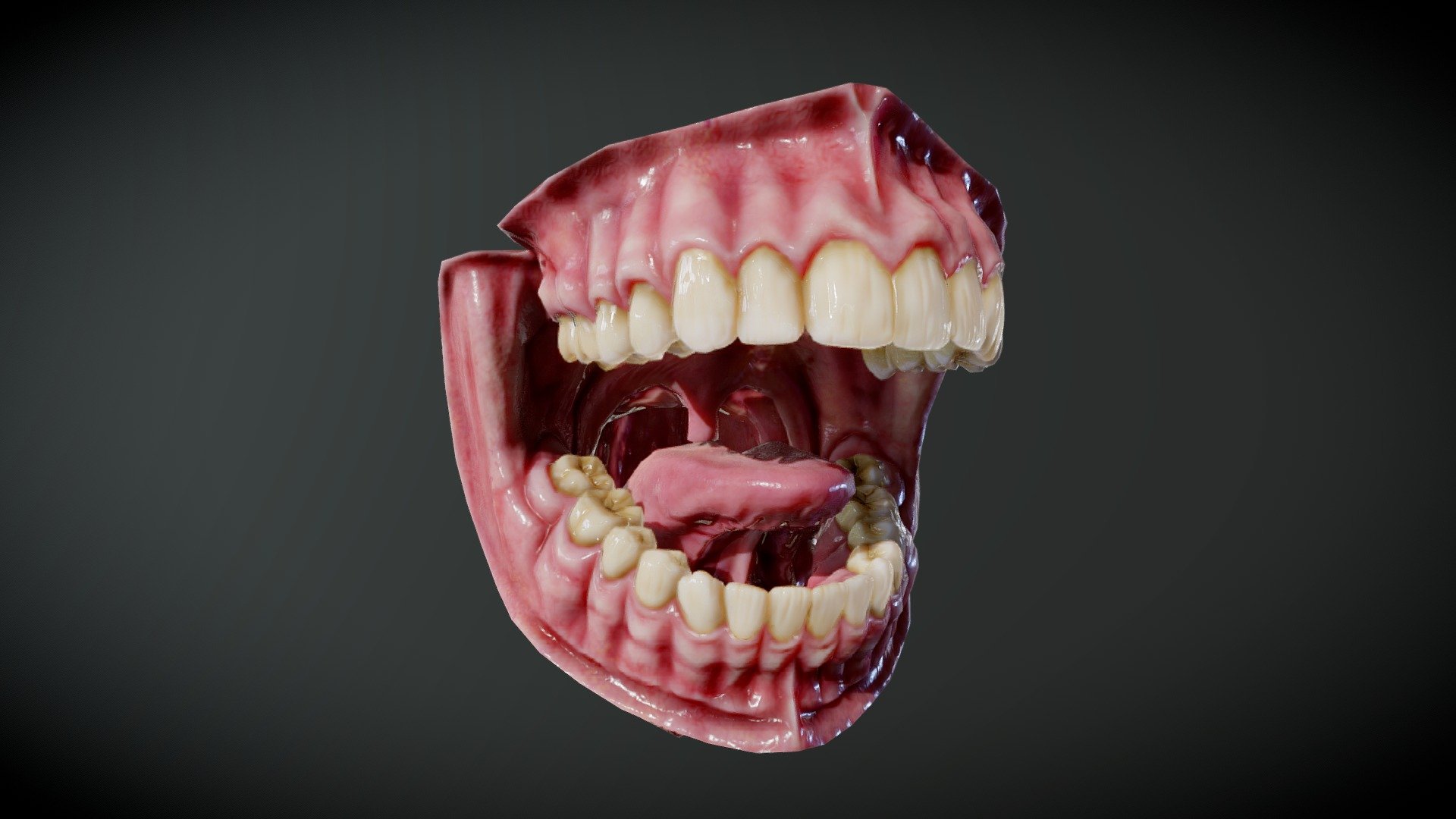 Human mouth detailed 3d model