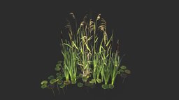 Modular Wetland Plants Set 01