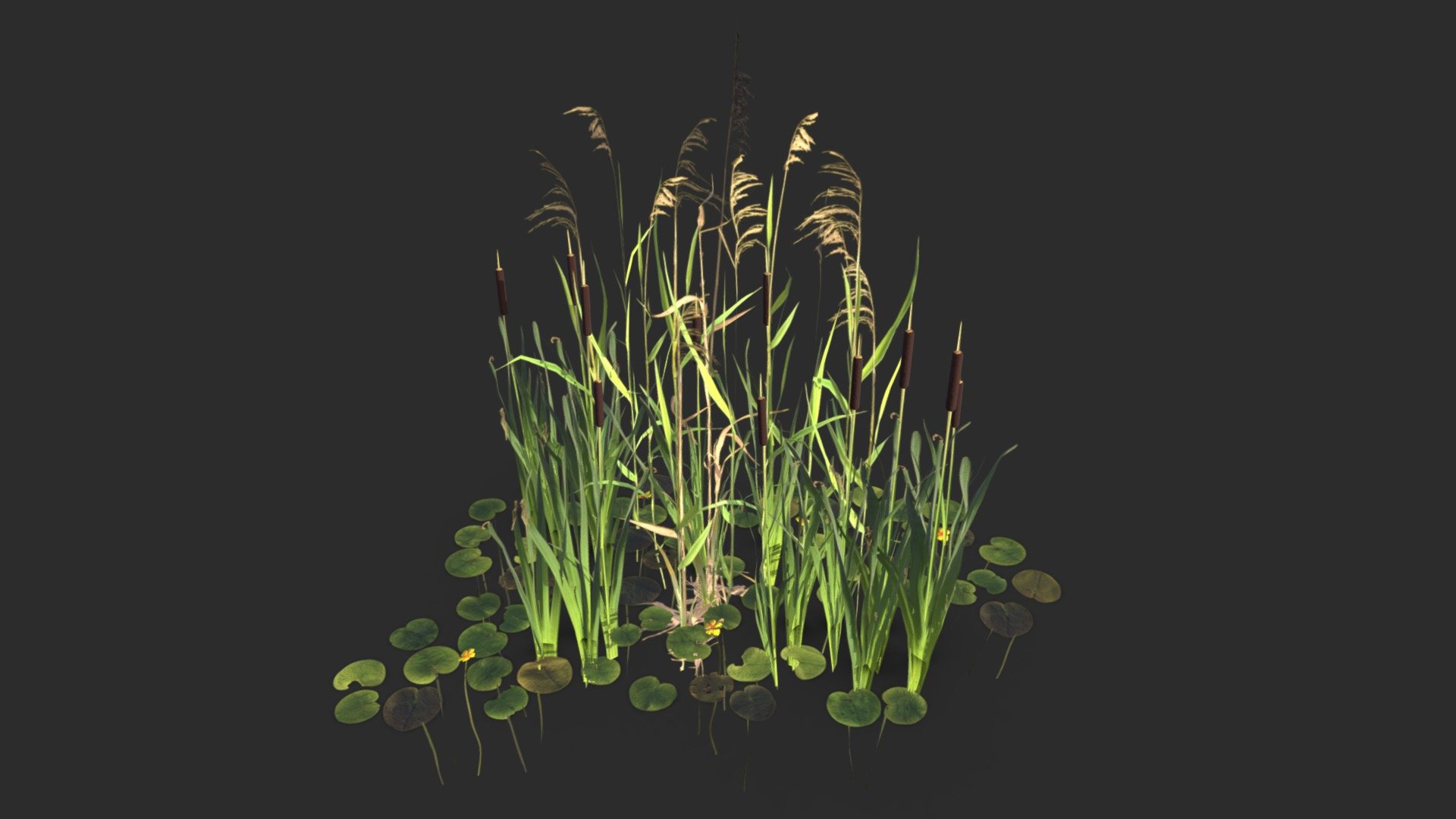 Modular Wetland Plants Set 01 3d model