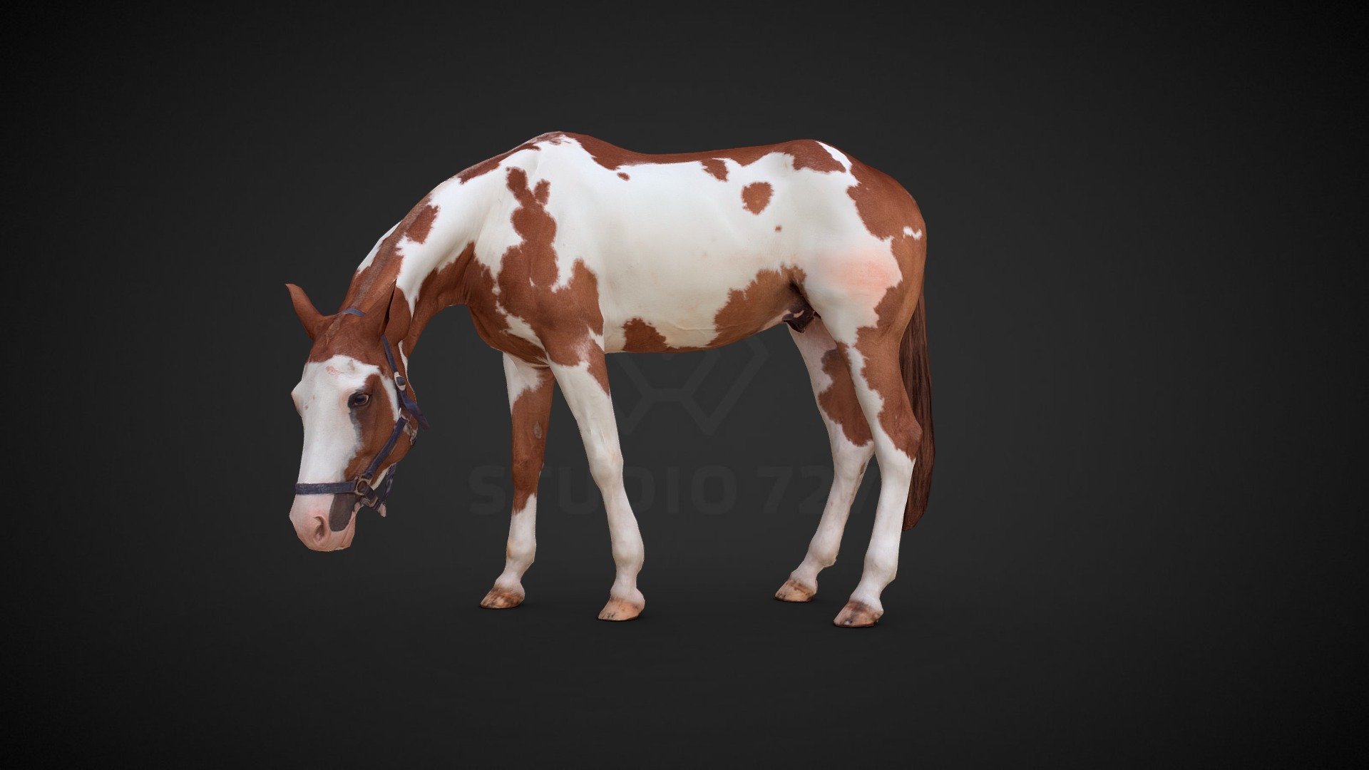 Horse 3d model