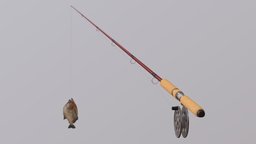 Fishing Rod with a Fish