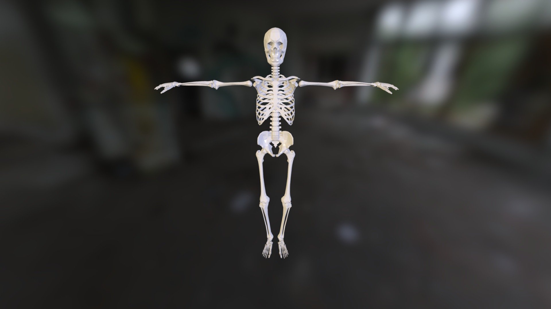 Human Skeleton 3d model