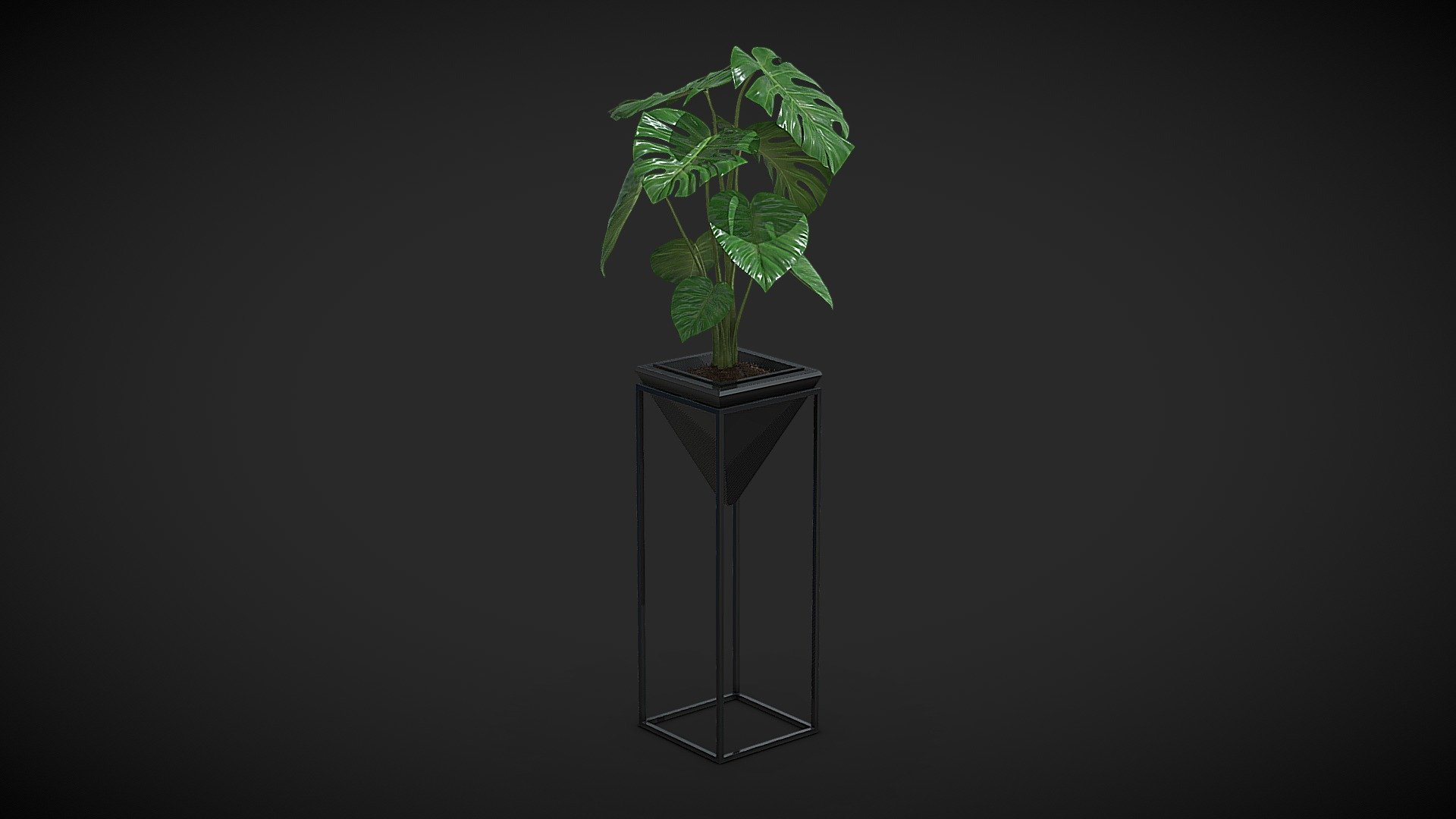 Cheese Plant III 3d model