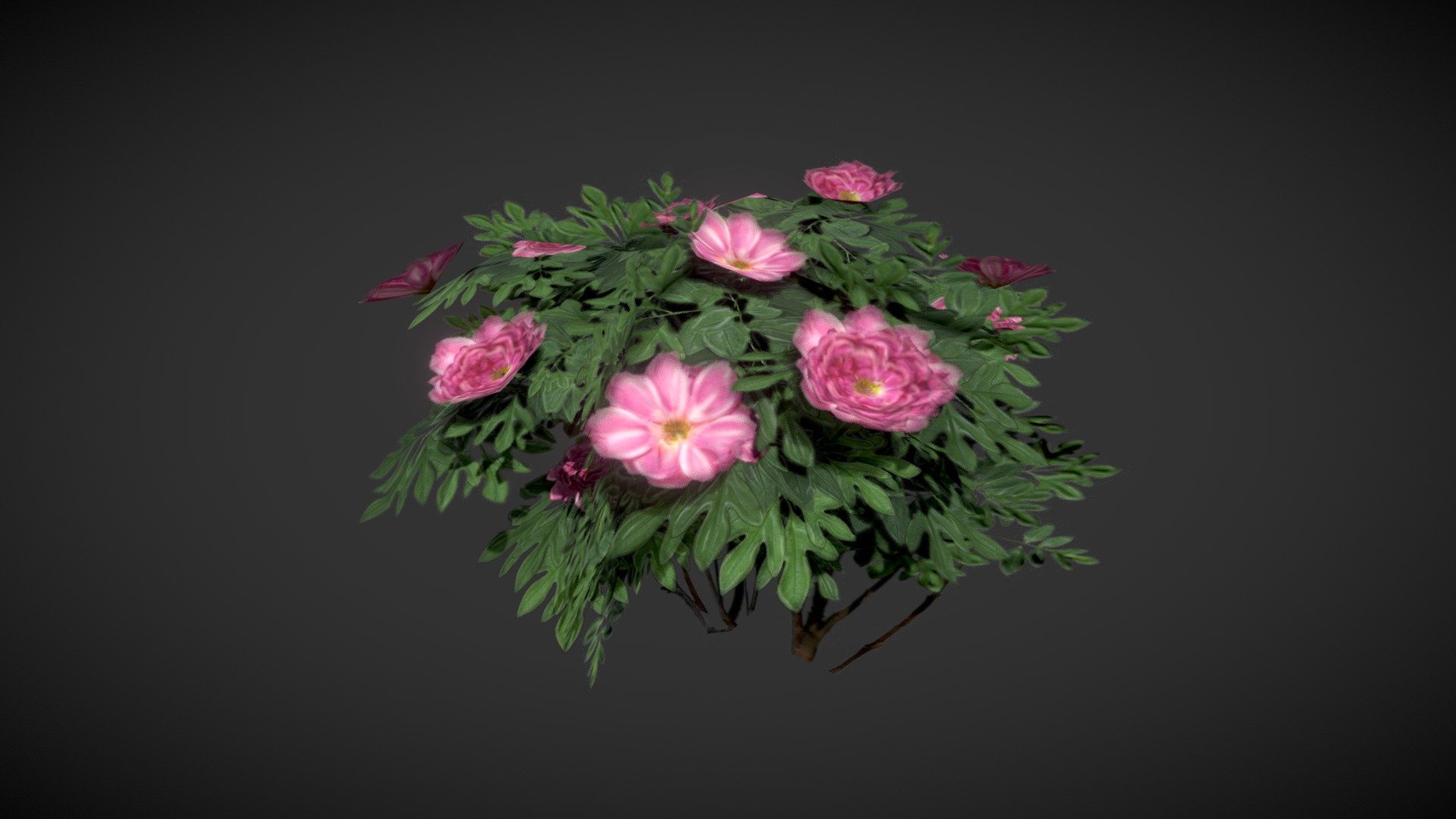 Tree Peony Low Poly 3d model