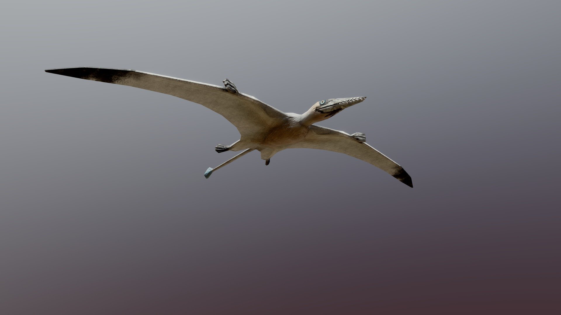 Low-poly Rhamphorhynchus idle 3d model