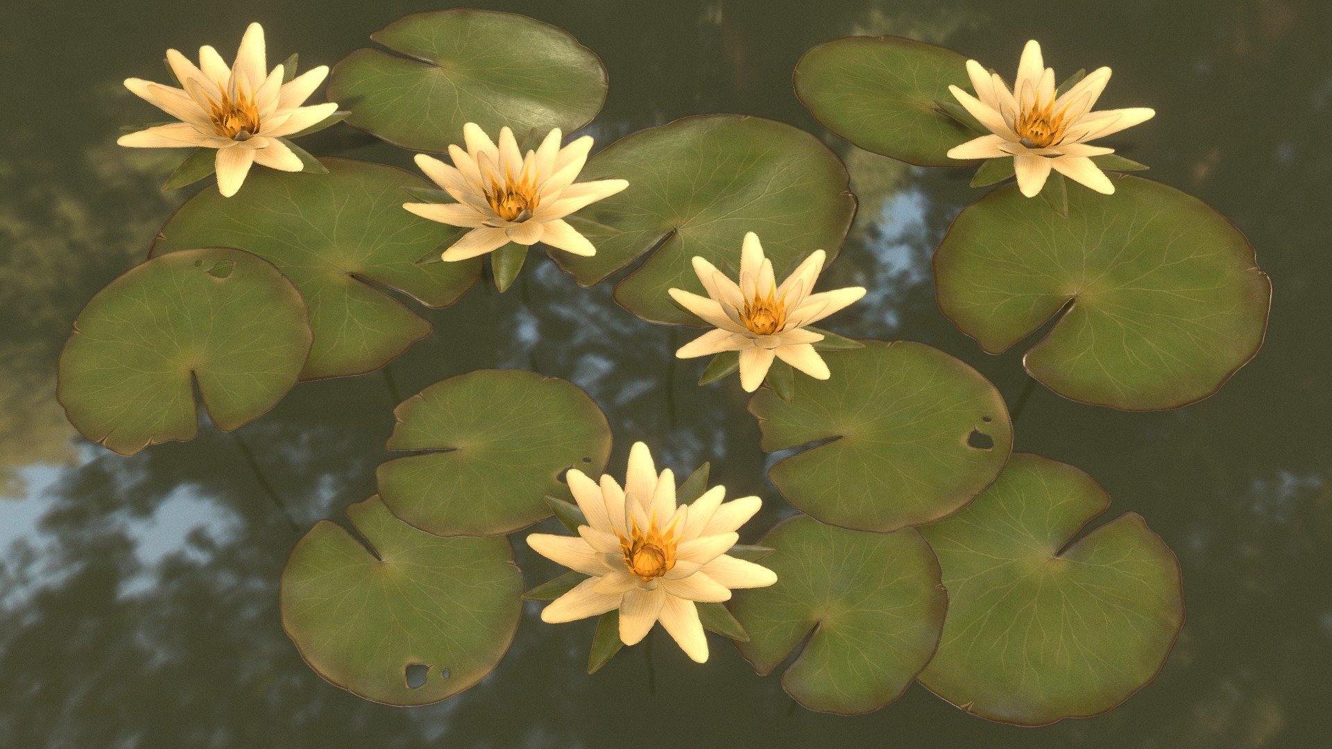 Water Lilies 3d model