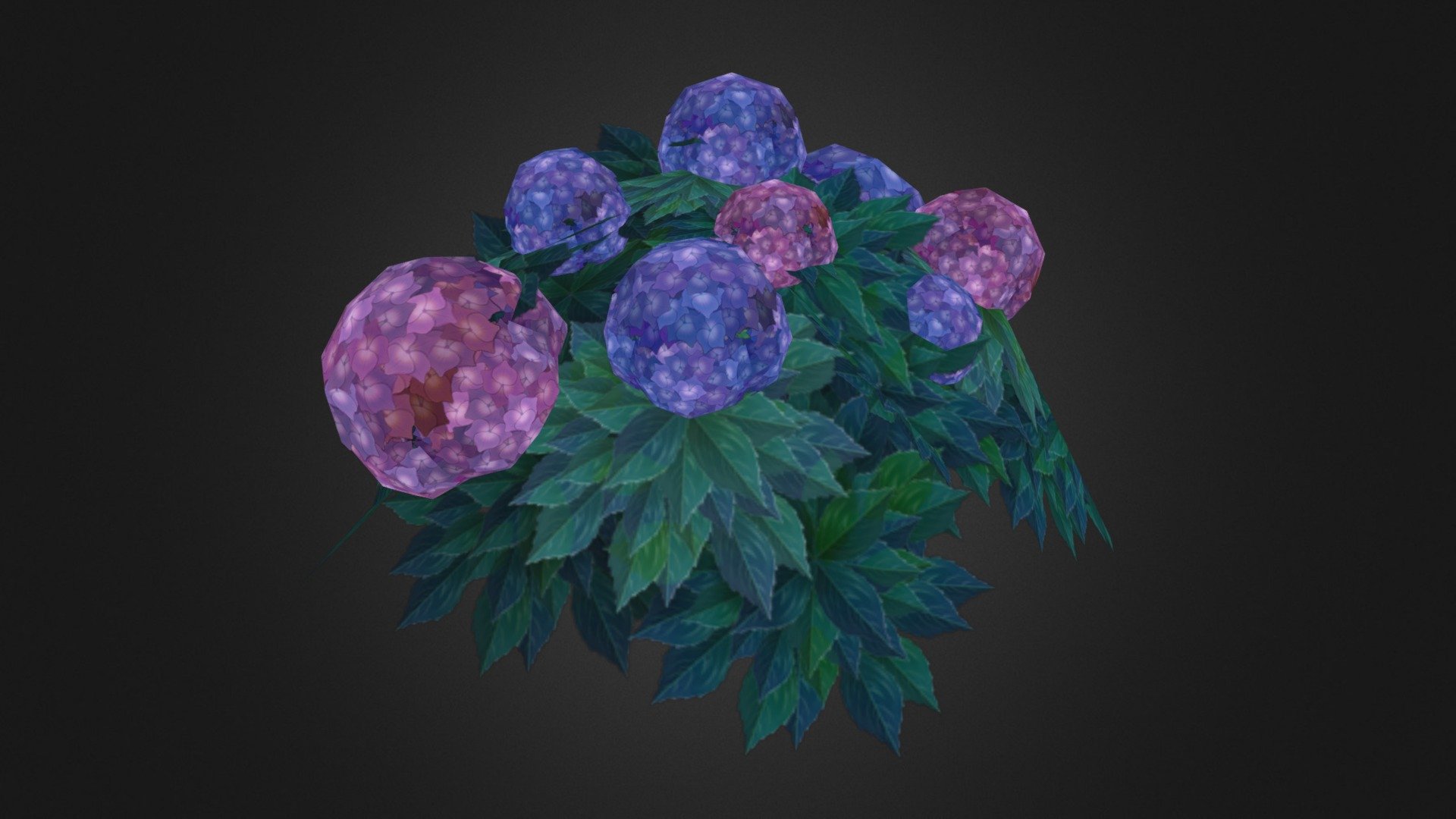 Hydrangea 3d model