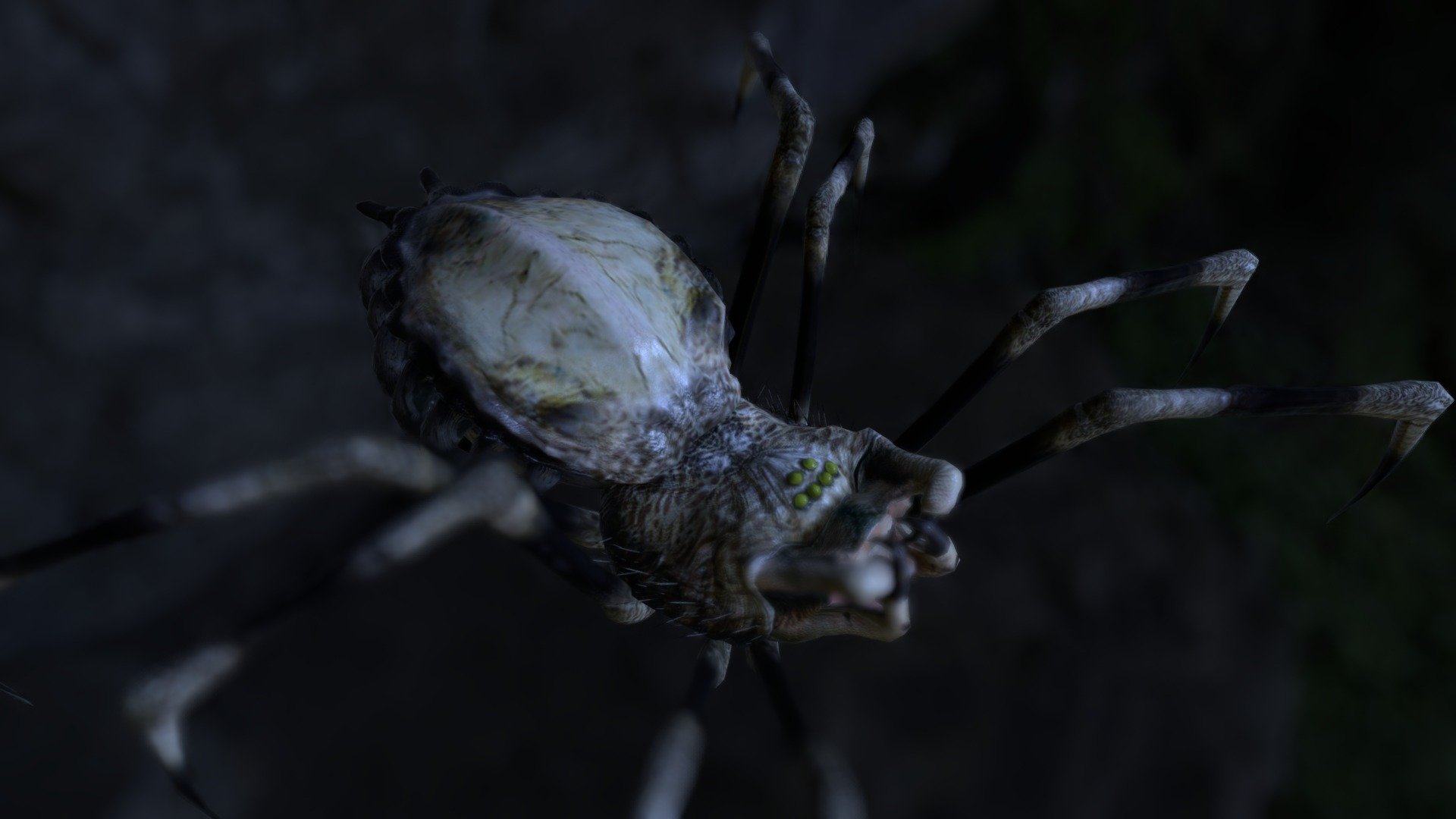 Predator Spider 3d model