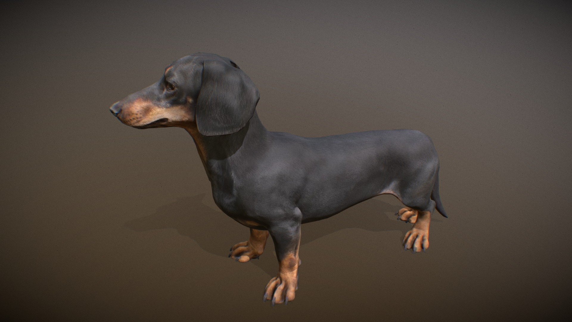 Animalia 3d model