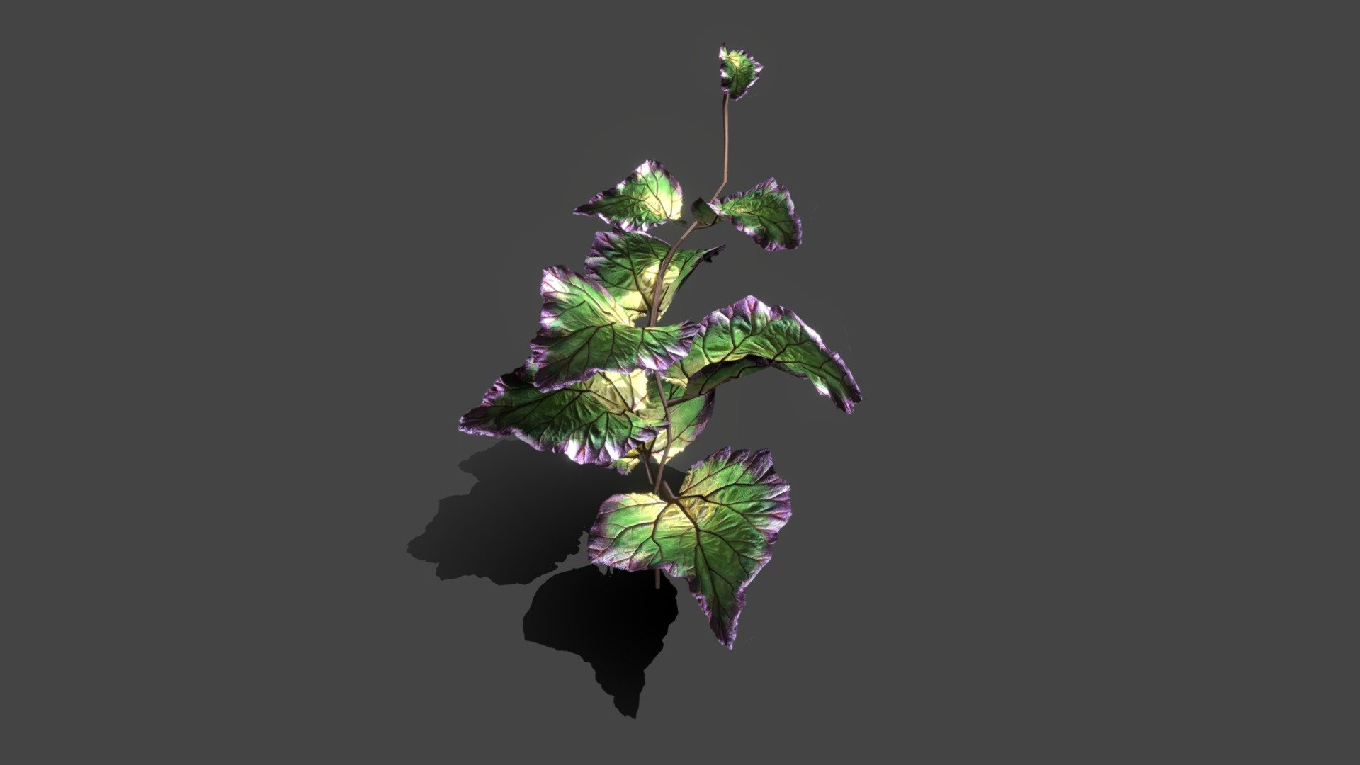 Plant tropic 3d model