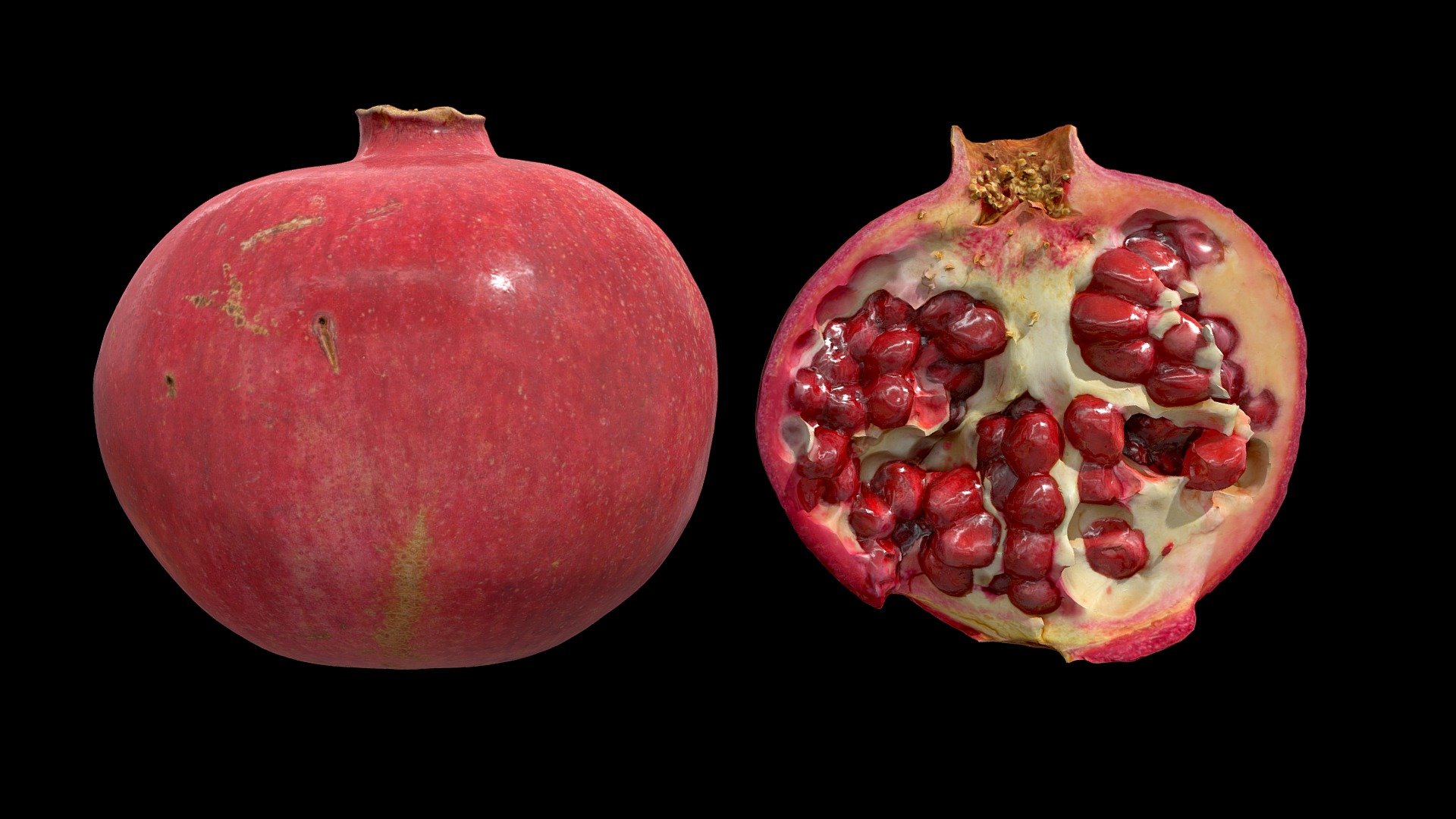 Pomegranate (ザクロ) 3d model