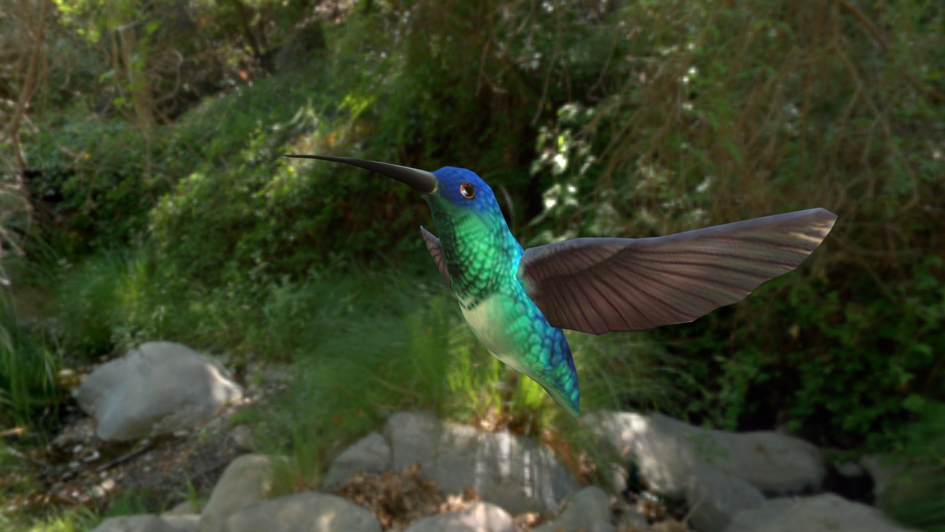 Hummingbird 3d model