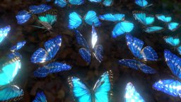 Morpho butterfly carpet