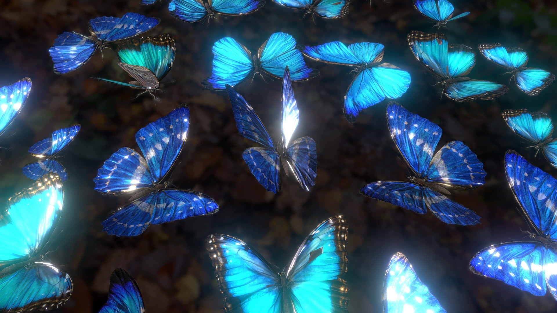 Morpho butterfly carpet 3d model