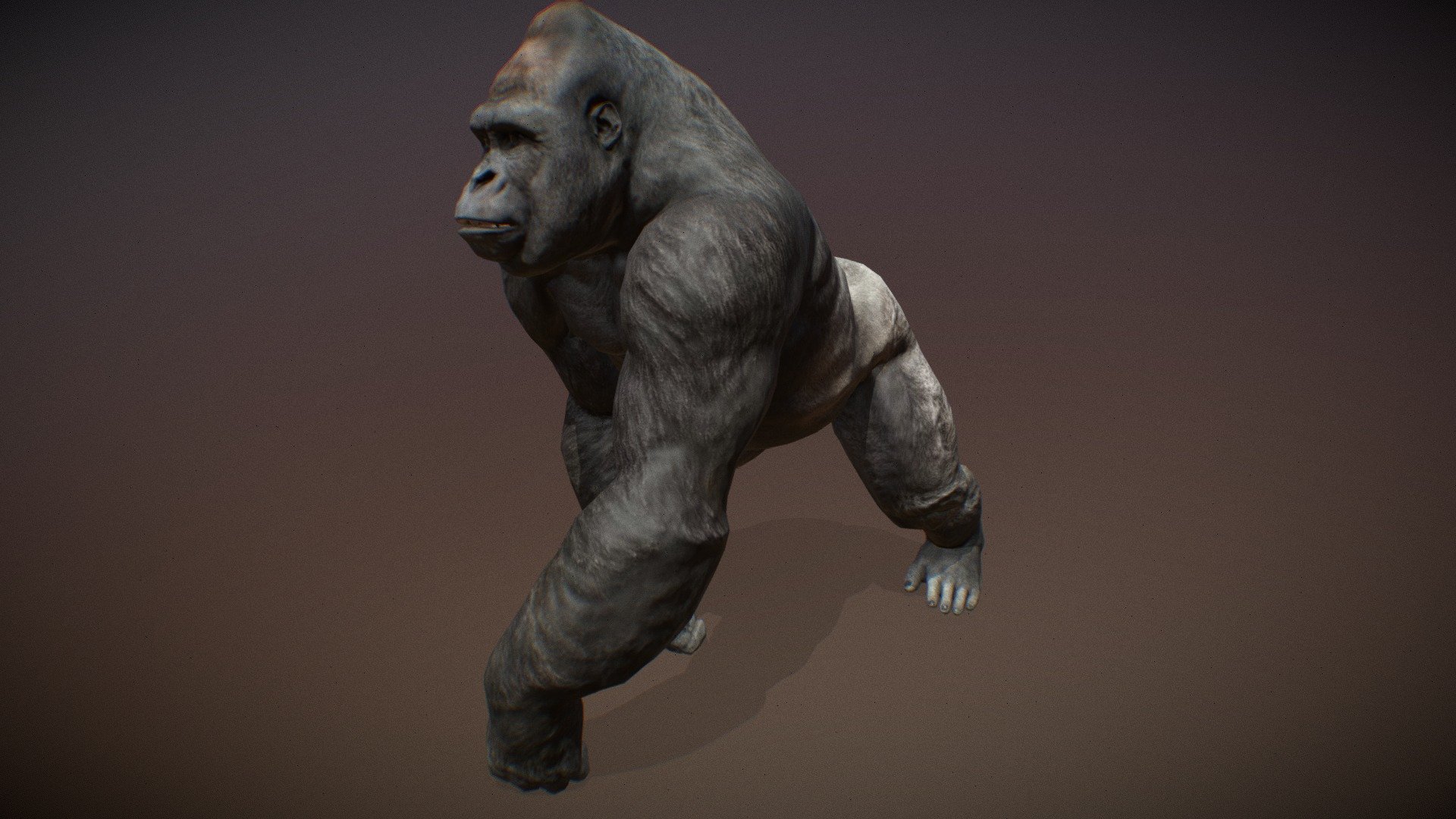 Animalia 3d model