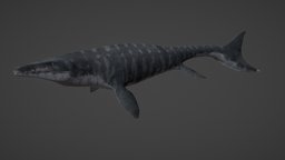 Mosasaurus Hoffmanni